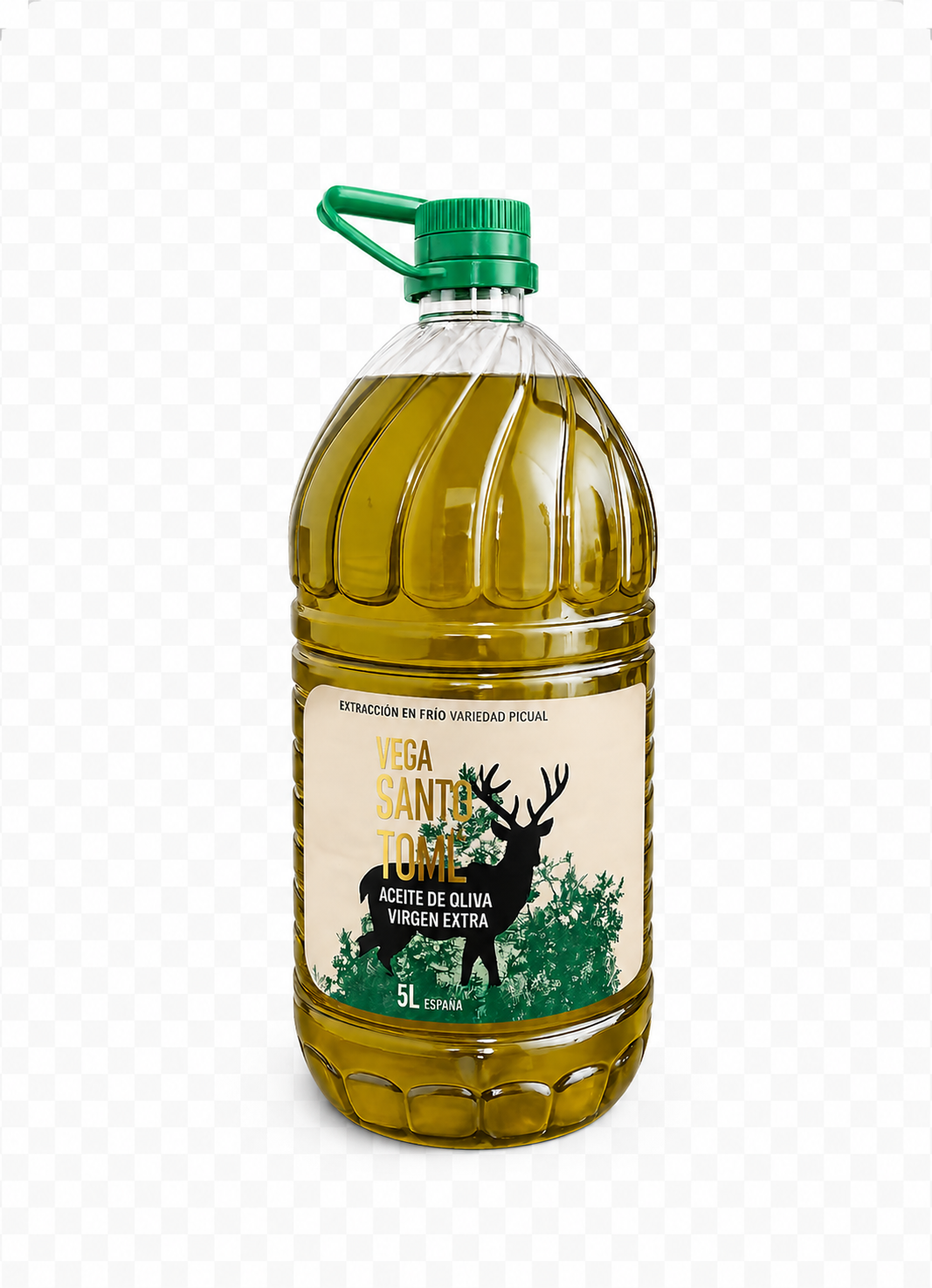 Vega Santo Tomé